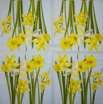 060 Daffodils - 3-ply - Herlitz